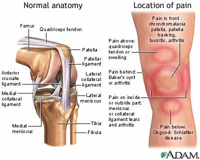 Treatments for Knee Pain