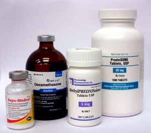 Corticosteroids avascular necrosis mechanism